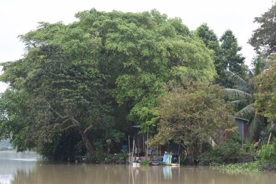 Cuộc sống yên bình ven sông Sài Gòn