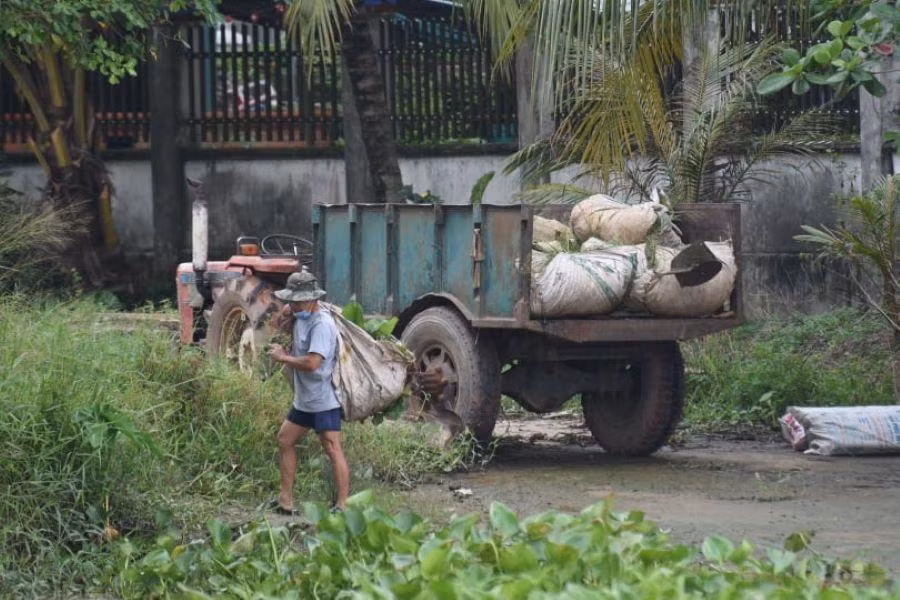 Người dân sống ven sông đi hái rau