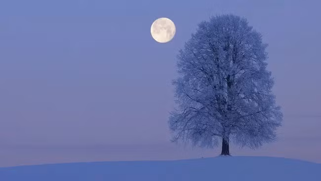 "Trăng Sói" sẽ che khuất sao Hỏa khi nhìn từ Bắc Mỹ. (Ảnh: Martin Ruegner)
