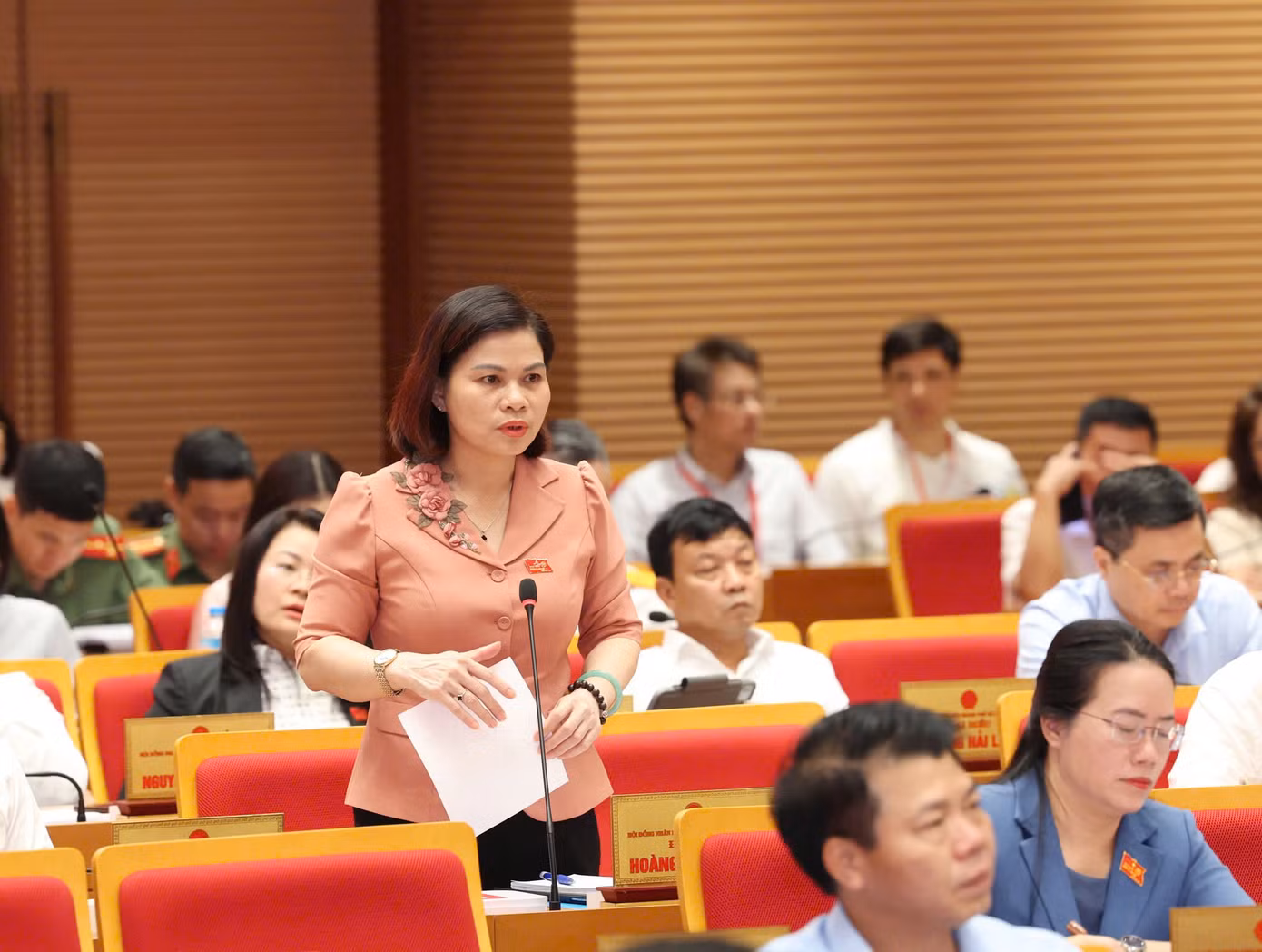 Đại biểu HĐND thành phố chất vấn lãnh đạo thành phố về vấn đề ATTP.
