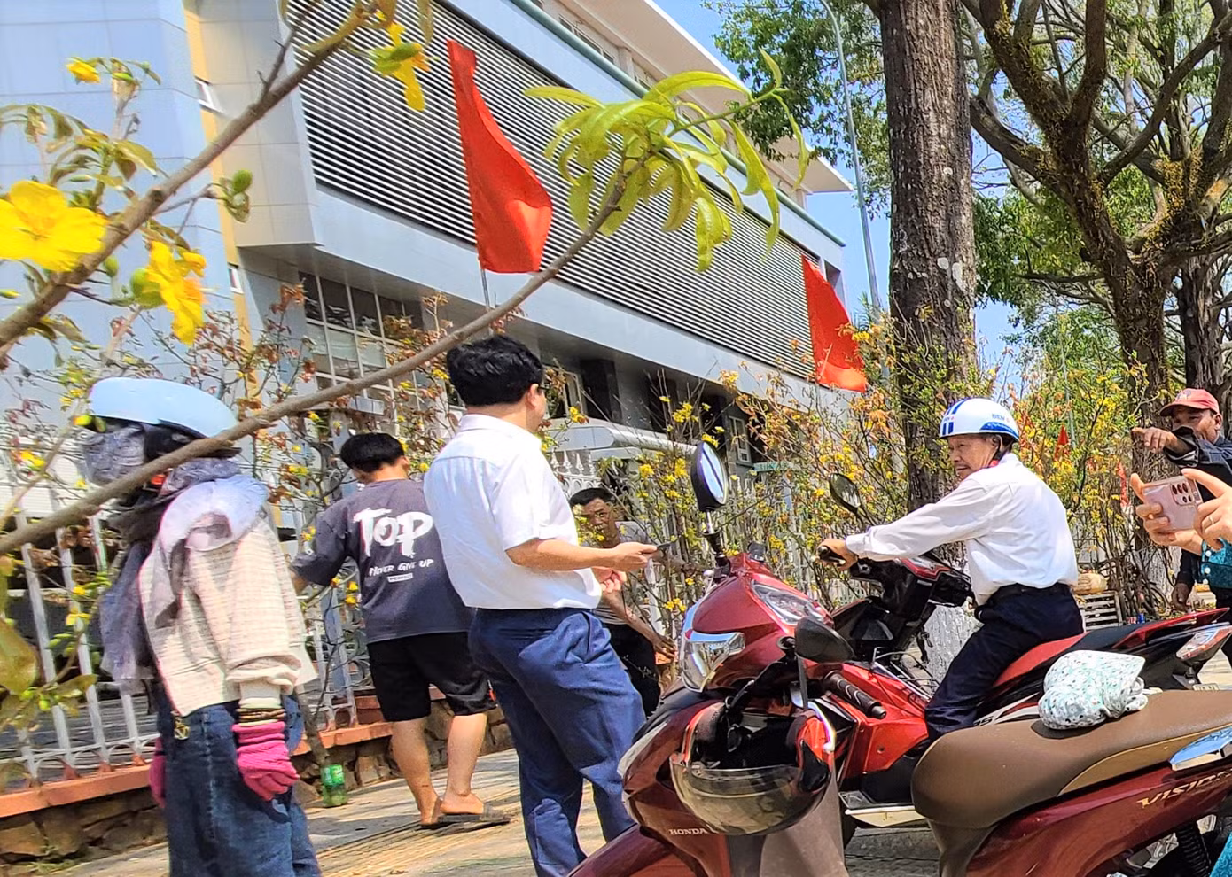 Nhiều người đến xem mai rừng.