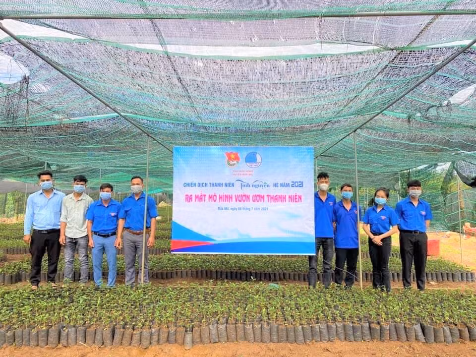 Mô hình vườn ươm thanh niên được triển khai tại huyện Đắk Mil