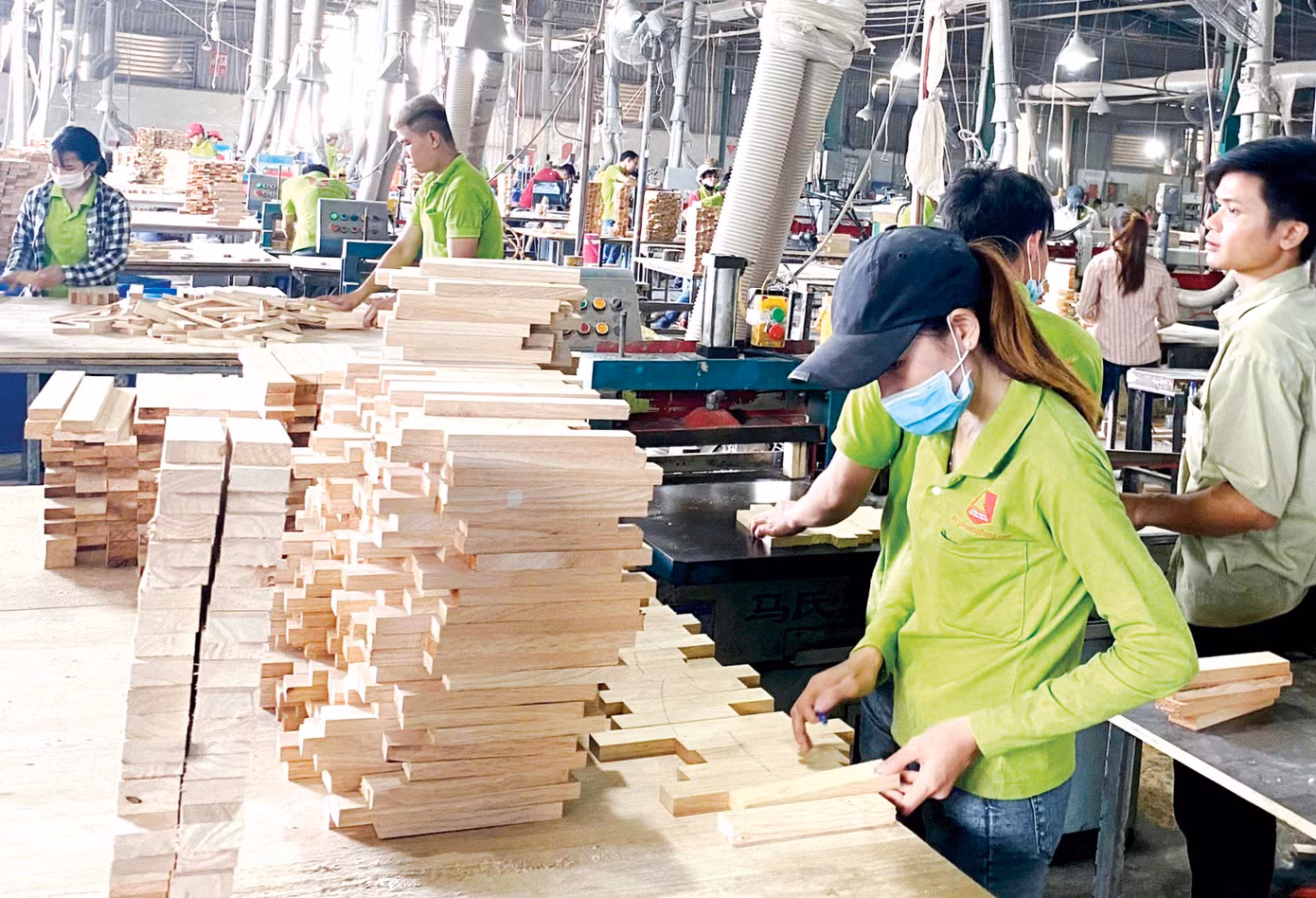 Năm 2021 cũng là kim ngạch gỗ và lâm sản chính đạt gần 16 tỷ USD, tăng trên 20% so với năm trước
