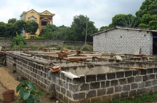 Chuồng rắn phì được xây thành các ô nhỏ, mỗi chuồng là 1 chú rắn trưởng thành,bên trên dùng nắp đậy bằng xi măng có lỗ thoáng hoặc lưới sắt.