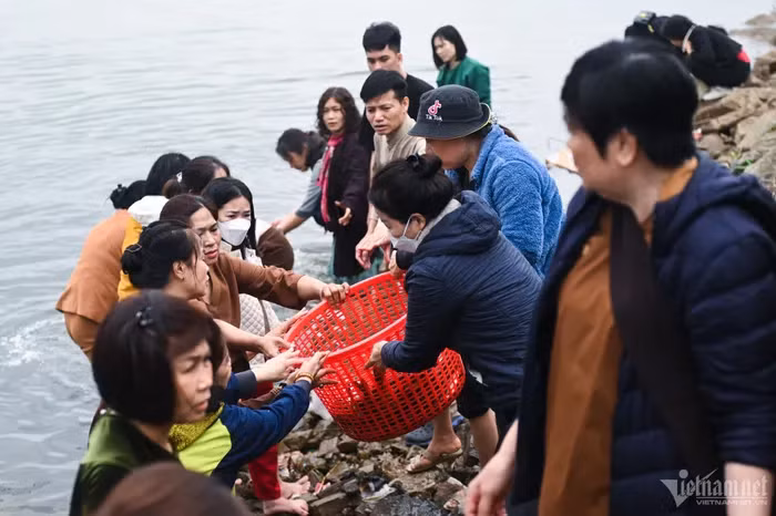 Một số người trẻ xắn quần, áo, đứng tại mép sông để nhận cá và thả nhẹ nhàng xuống nước.