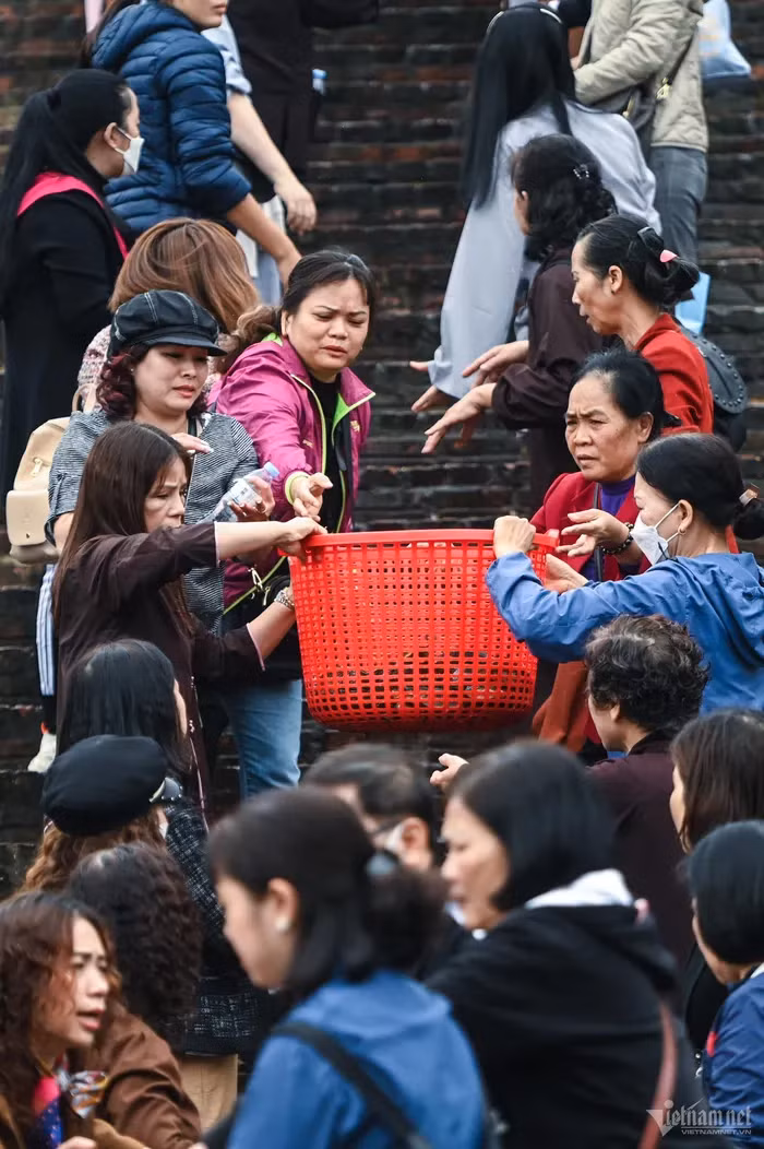 Phật tử đứng nối tiếp nhau thành hai hàng ở các bậc thang để tiện vận chuyển cá.
