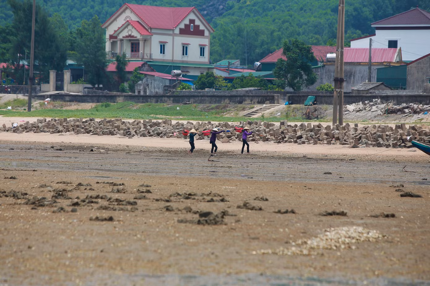 Một tốp phụ nữ khác lại mang cào giật lùi để bắt ngao dưới lớp cát biển.