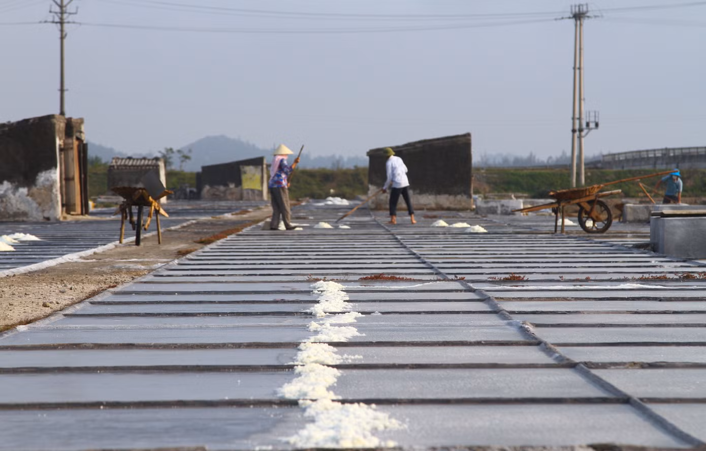 Làm muối có nhiều công đoạn nhưng theo các diêm dân, công đoạn chính gồm: xáo đất, phơi đất, đưa đất vào chạt, lọc nước, phơi nước và cuối cùng là thu muối...