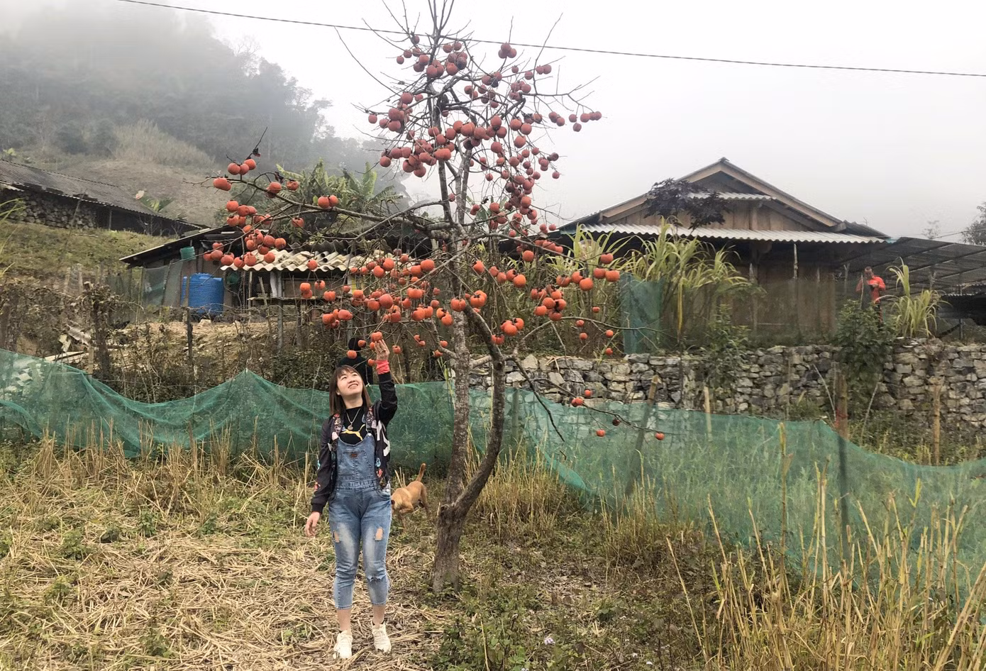 Trong kế hoạch, Mường Lống sẽ được kết nối với xã Mỹ Lý để hình thành tour du lịch Mường Lống - Mỹ Lý. Với tuyến này, du khách sau khi ngắm cảnh, có thể tiếp hành trình đến Mỹ Lý để trải nghiệm văn hóa đồng bào người Thái như: ẩm thực, các làn điệu dân ca, dân vũ, trải nghiệm dệt thổ cẩm, chèo thuyền đánh cá… Trong kế hoạch, Mường Lống sẽ được kết nối với xã Mỹ Lý để hình thành tour du lịch Mường Lống - Mỹ Lý. Với tuyến này, du khách sau khi ngắm cảnh, có thể tiếp hành trình đến Mỹ Lý để trải nghiệm văn hóa đồng bào người Thái như: ẩm thực, các làn điệu dân ca, dân vũ, trải nghiệm dệt thổ cẩm, chèo thuyền đánh cá…
