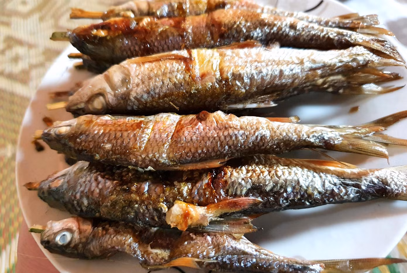 Cá Mát được người dân Tam Hợp chế biến thành nhiều món ăn đặc trưng từ loài cá này như: cá nướng ống tre, gỏi cá, lạp cá…