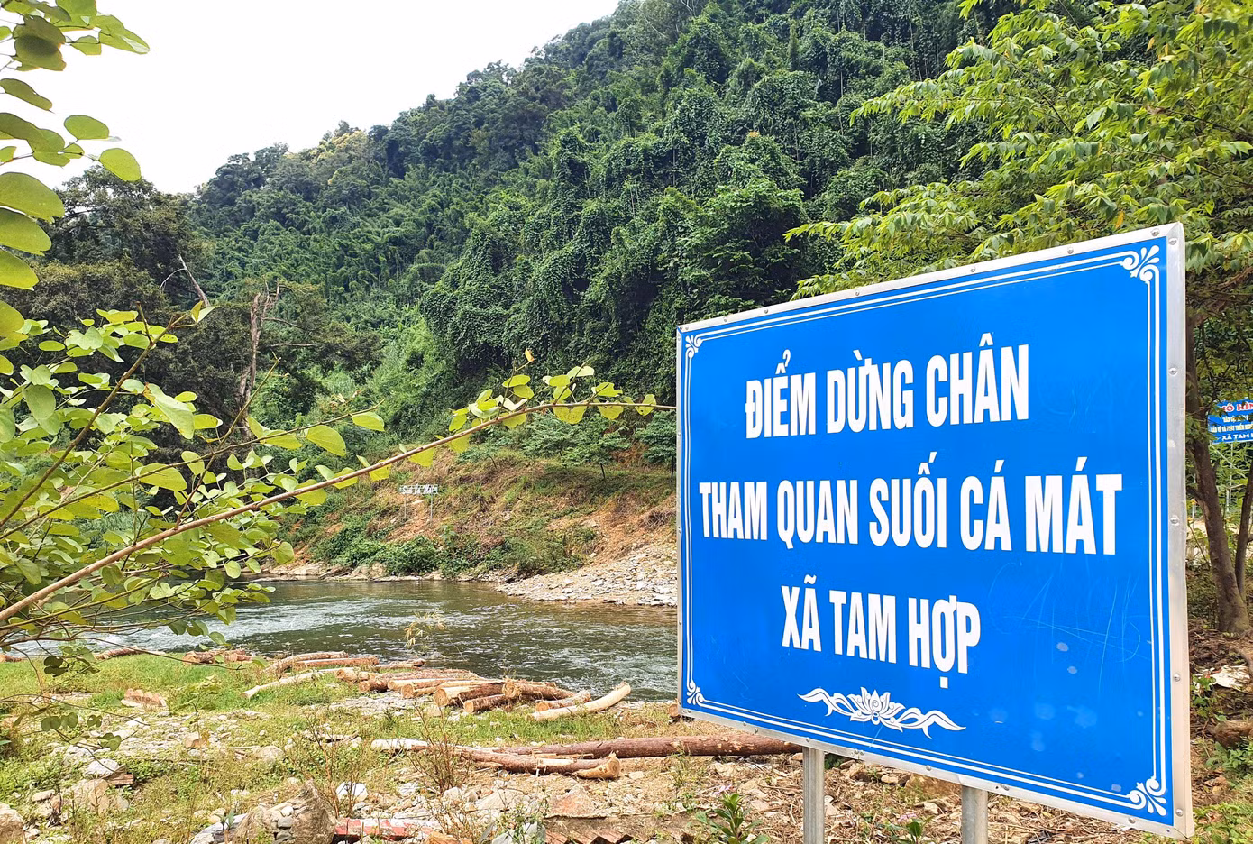 Khi những đàn cá Mát dần hồi sinh mạnh mẽ, quyền xã Tam Hợp dự tính sẽ xây dựng thành điểm du lịch sinh thái tại vị trí hợp lưu của hai con suối Chà Lạp và suối Cặt. Đây sẽ là một địa điểm dừng chân lý tưởng cho du khách để nghỉ mát, xem cá Mát tung tăng dưới suối mỗi khi có dịp đi qua mảnh đất này.