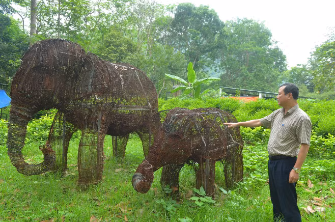 Việc kết bẫy thú rừng thành cặp voi được trưng bày tại đây, mang tới thông điệp với du khách và người dân là không sử dụng bẫy săn thú rừng, bảo vệ các loại động vật hoang dã.