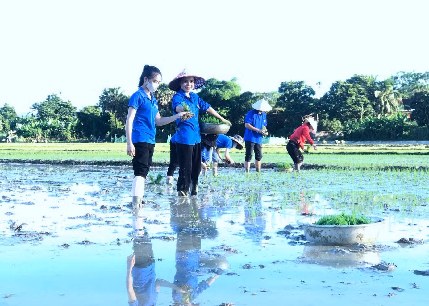 Dù công việc mệt nhọc, chân lấm tay bùn nhưng các bạn trẻ vẫn luôn tươi cười rạng rỡ với công việc mình đang làm.