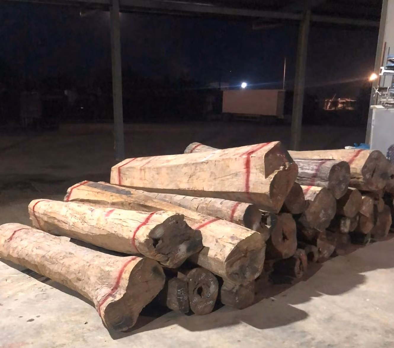 Số lượng gỗ trắc đang được cơ quan chức năng tạm giữ để phục vụ điều tra.