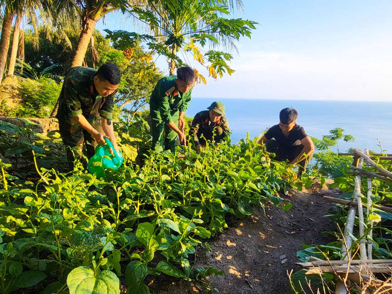 "Trồng trọt, chăn nuôi vừa tạo nguồn thực phẩm sạch, đảm bảo sức khỏe, vừa phát triển phong trào thanh niên thi đua sản xuất." - Đại úy Nguyễn Công Khánh cho hay.