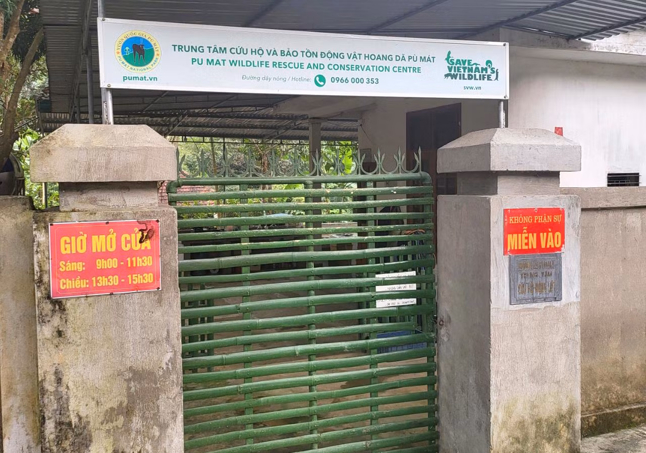 Đầu tháng 8/2021, 7 cá thể hổ Đông Dương được chuyển đến Trung tâm cứu hộ động vật hoang dã, Vườn quốc gia Pù Mát (huyện Con Cuông, Nghệ An) để điều trị, chăm sóc. Đây là những cá thể hổ được Công an tỉnh Nghệ An giải cứu khỏi những tay buôn bán động vật hoang dã.