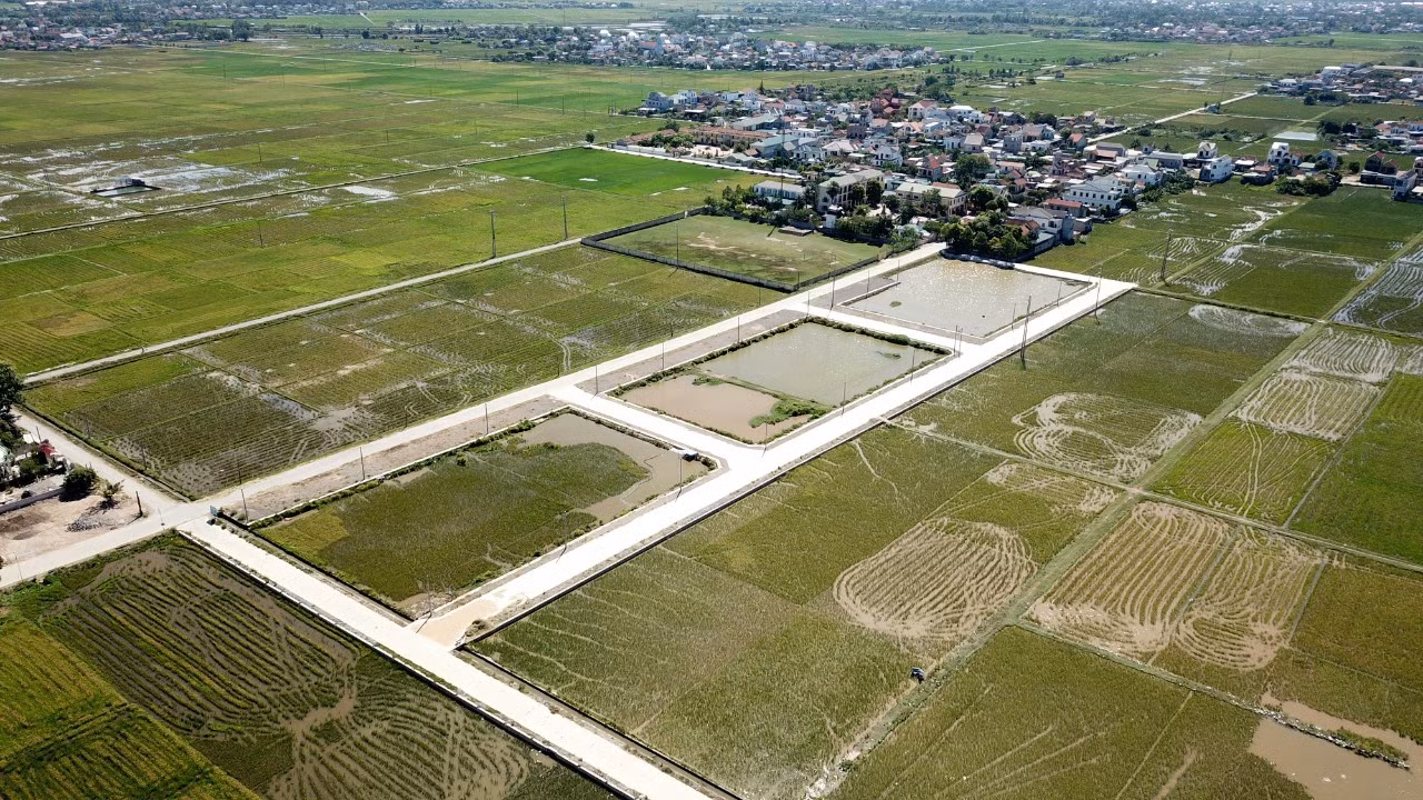 Khu đất đấu giá với 56 lô đất ở tại xã Quỳnh Hưng (Quỳnh Lưu, Nghệ An).
