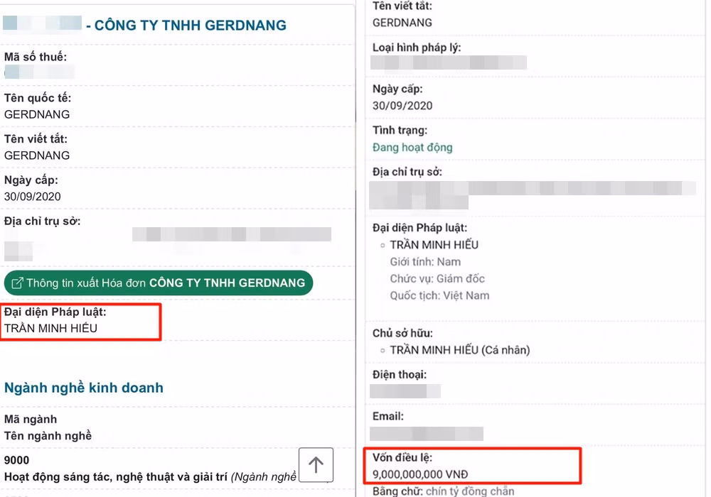 Thông tin công ty TNHH GERDNANG với vốn điều lệ 9 tỷ đồng. Ảnh: Cổng thông tin quốc gia về Đăng ký doanh nghiệp