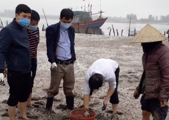 Xác định nguyên nhân ngao chết hàng loạt ở Thanh Hoá ảnh 1