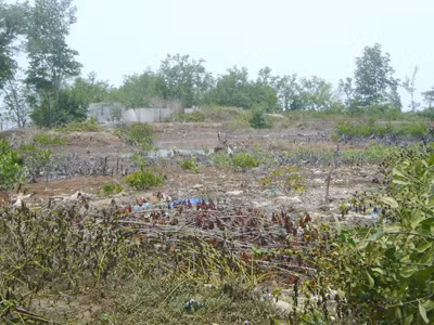 Khu đất 1,3 ha ở Mũi Cà Mau giao cho ngành công an xây nhà nghỉ đang bỏ hoang khi chặt xong rừng. Ảnh: Nguyễn Tiến Hưng. Khu đất 1,3 ha ở Mũi Cà Mau giao cho ngành công an xây nhà nghỉ đang bỏ hoang khi chặt xong rừng Ảnh: Nguyễn Tiến Hưng