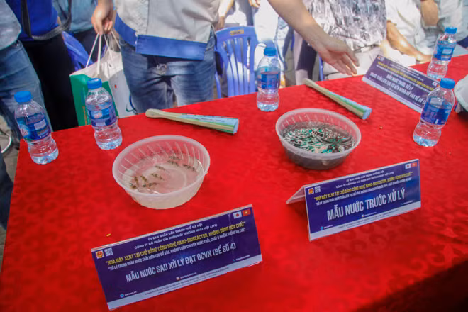 Thả cá Koi Nhật Bản xuống sông Tô Lịch và Hồ Tây ảnh 2