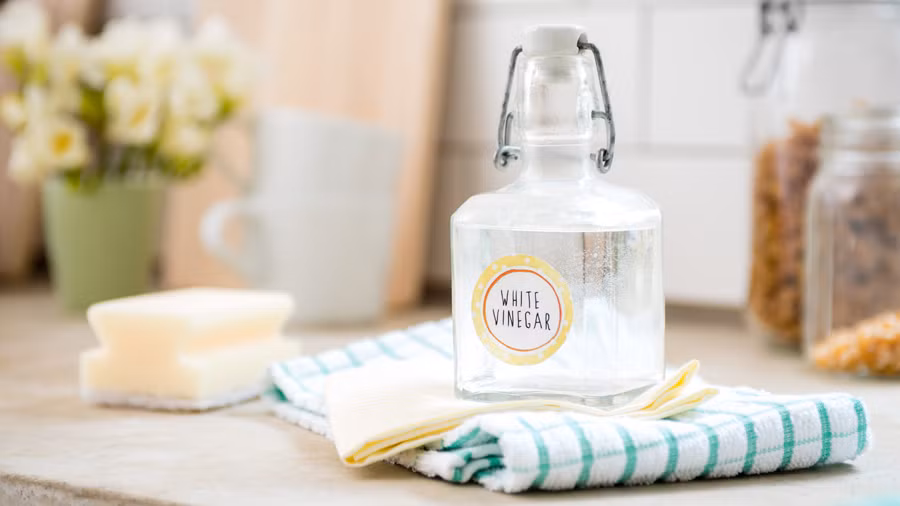 Thải độc và giảm cân trong ngày với loại đồ uống tự chế này ảnh 4