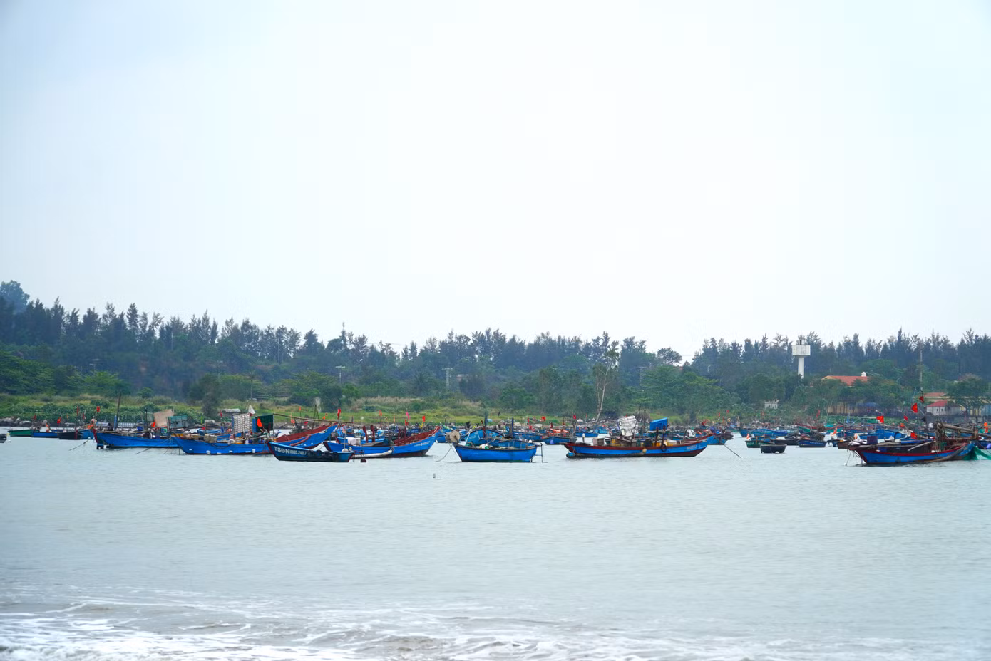 Anh Steven (du khách Đức) chia sẻ rất đam mê khám phá cuộc sống, đặc trưng, văn hóa của từng vùng đất mới, do đó khi đến Đà Nẵng anh Steven chọn tới vùng biển đầu tiên. "Tôi khá bất ngờ vì ngư dân ở đây đánh cá với những chiếc thuyền nhỏ, đơn sơ. Nơi này giúp tôi hình dung được một phần cuộc sống của người dân ven biển", anh nói và chia sẻ thêm, phong cảnh ở đây cũng rất đẹp với biển núi liền kề, những chiếc thuyền xanh nằm im trên mặt nước làm bức tranh miền biển thêm hài hòa, đẹp đẽ.