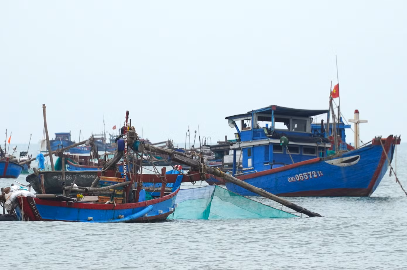 Anh Steven (du khách Đức) chia sẻ rất đam mê khám phá cuộc sống, đặc trưng, văn hóa của từng vùng đất mới, do đó khi đến Đà Nẵng anh Steven chọn tới vùng biển đầu tiên. "Tôi khá bất ngờ vì ngư dân ở đây đánh cá với những chiếc thuyền nhỏ, đơn sơ. Nơi này giúp tôi hình dung được một phần cuộc sống của người dân ven biển", anh nói và chia sẻ thêm, phong cảnh ở đây cũng rất đẹp với biển núi liền kề, những chiếc thuyền xanh nằm im trên mặt nước làm bức tranh miền biển thêm hài hòa, đẹp đẽ.