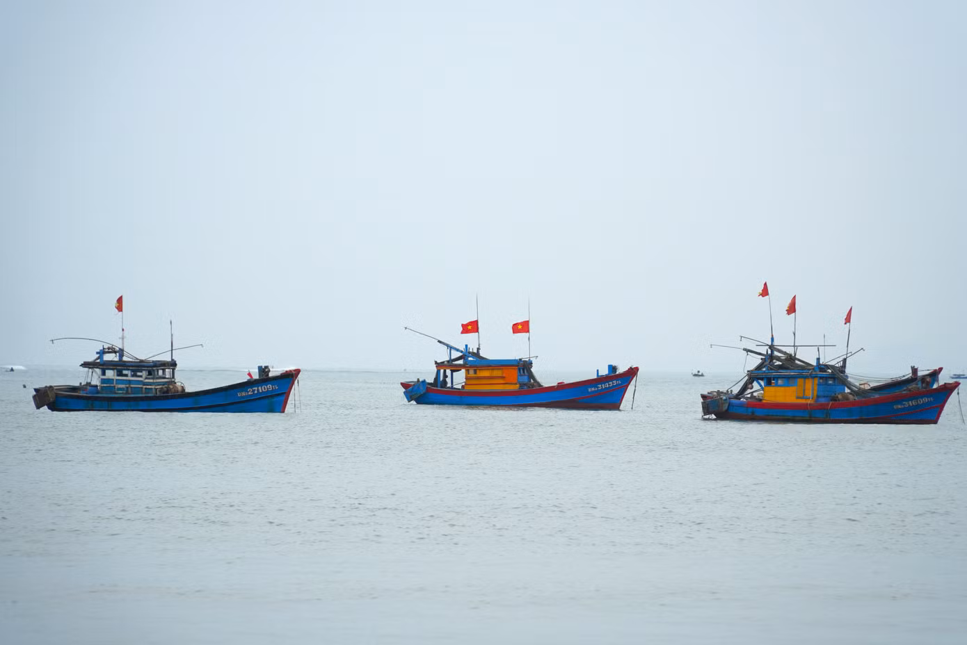 Những chiếc ghe thuyền nhỏ này thường đi đánh bắt gần bờ, có chiếc đi sau một đêm đã trở về. Hầu hết thuyền đánh các loại cá nhỏ như cá nục, cá phèn, cá bã trầu, tôm, mực....