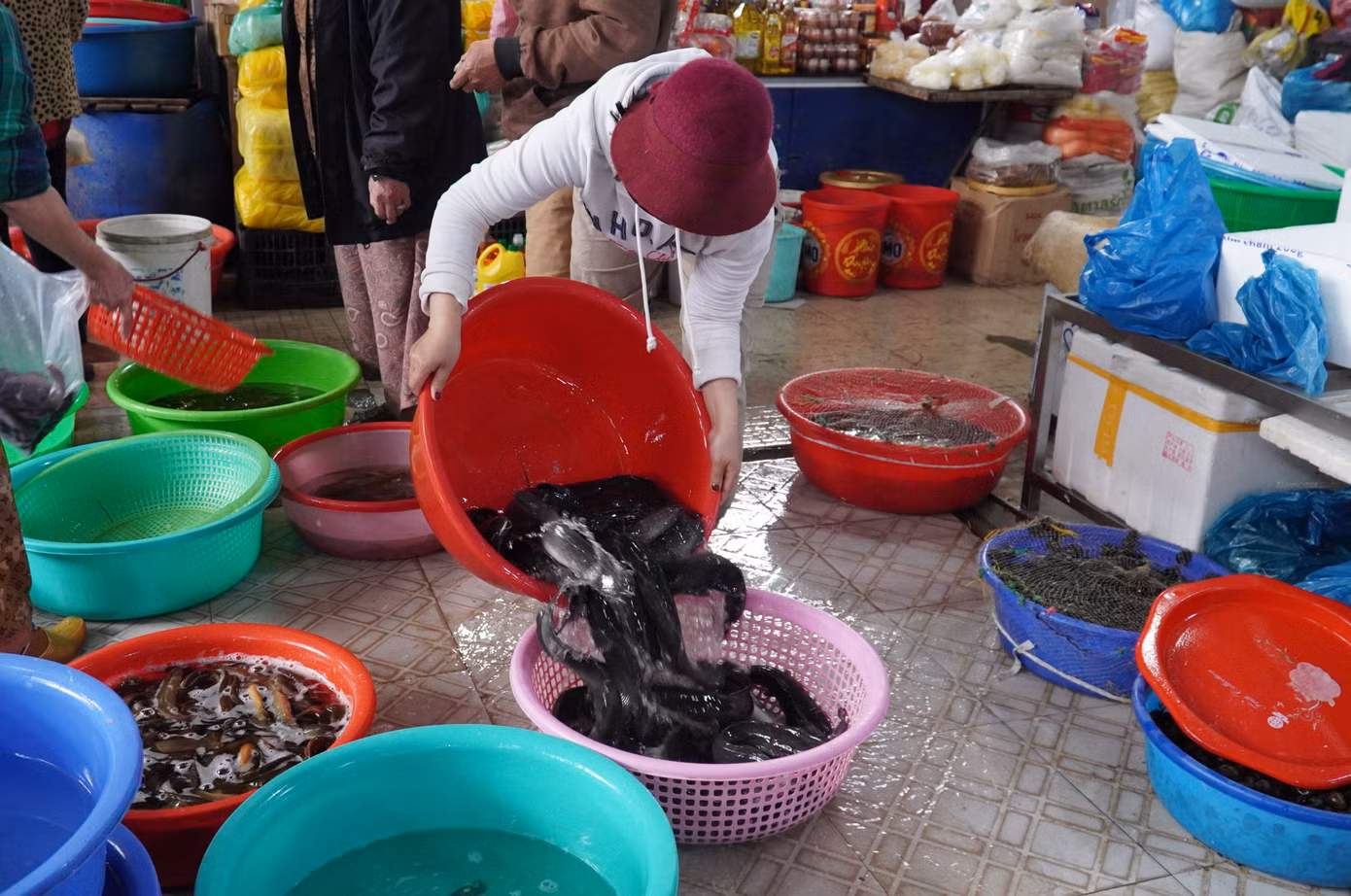 Các quầy bán chủ yếu các loại lươn, cá trê, cá chạch. Theo các tiểu thương, giá bán so với ngày thường không thay đổi nhiều. Lươn 220.000 đồng/kg, cá chạch 120.000 đồng/kg, cá trê nhỏ 80.000 đồng/kg, cá trê lớn 40.000 đồng/kg.