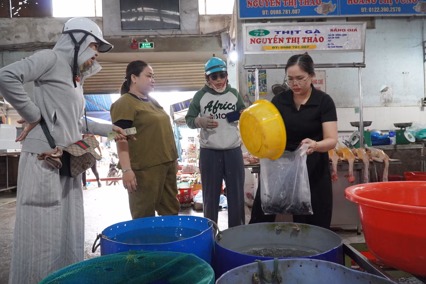 Thả cá phóng sinh là phong tục của người Việt mang đậm ý nghĩa văn hóa, tín ngưỡng. Người dân còn xem giờ, ngày tốt khi đi phóng sinh để cá khỏe mạnh, cầu được nhiều an lành, tài lộc.