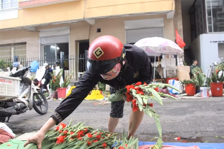 Dù giá hoa hạ nhiệt nhưng vẫn rất ít người mua.