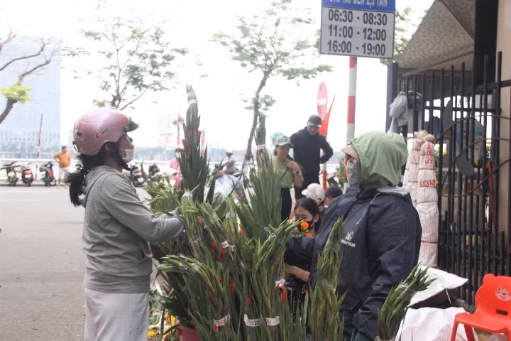 Mỗi bó 10 cây được bán từ 30.000đ - 50.000đ, bằng một nửa so với năm trước. Đây là hoa lay ơn lạnh, tức là bảo quản và vận chuyển bằng xe đông lạnh từ vườn hoa về Đà Nẵng.
