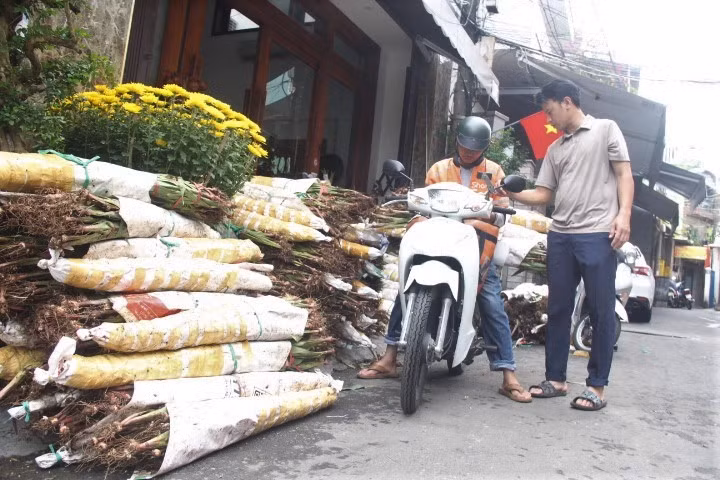 Cả ngàn bó hoa ly đang nằm chờ tại nhà người dân Đà Nẵng. Anh Hồ Ngọc Thanh (quận Hải Châu) cho hay đây là số hoa anh đứng ra giải cứu giúp một người dân tộc thiểu số đưa từ Đồng Nai ra. "Anh này chở ra đây 2.000 bó từ 26 tháng Chạp, đứng bán trên đường Đống Đa mấy hôm mà chỉ bán được 150 bó. Suốt hai hôm nay tôi và nhiều bạn trẻ cùng kêu gọi mọi người mua để giúp anh về quê đón Tết, số hoa cũng bán được khá nhiều rồi", anh chia sẻ.