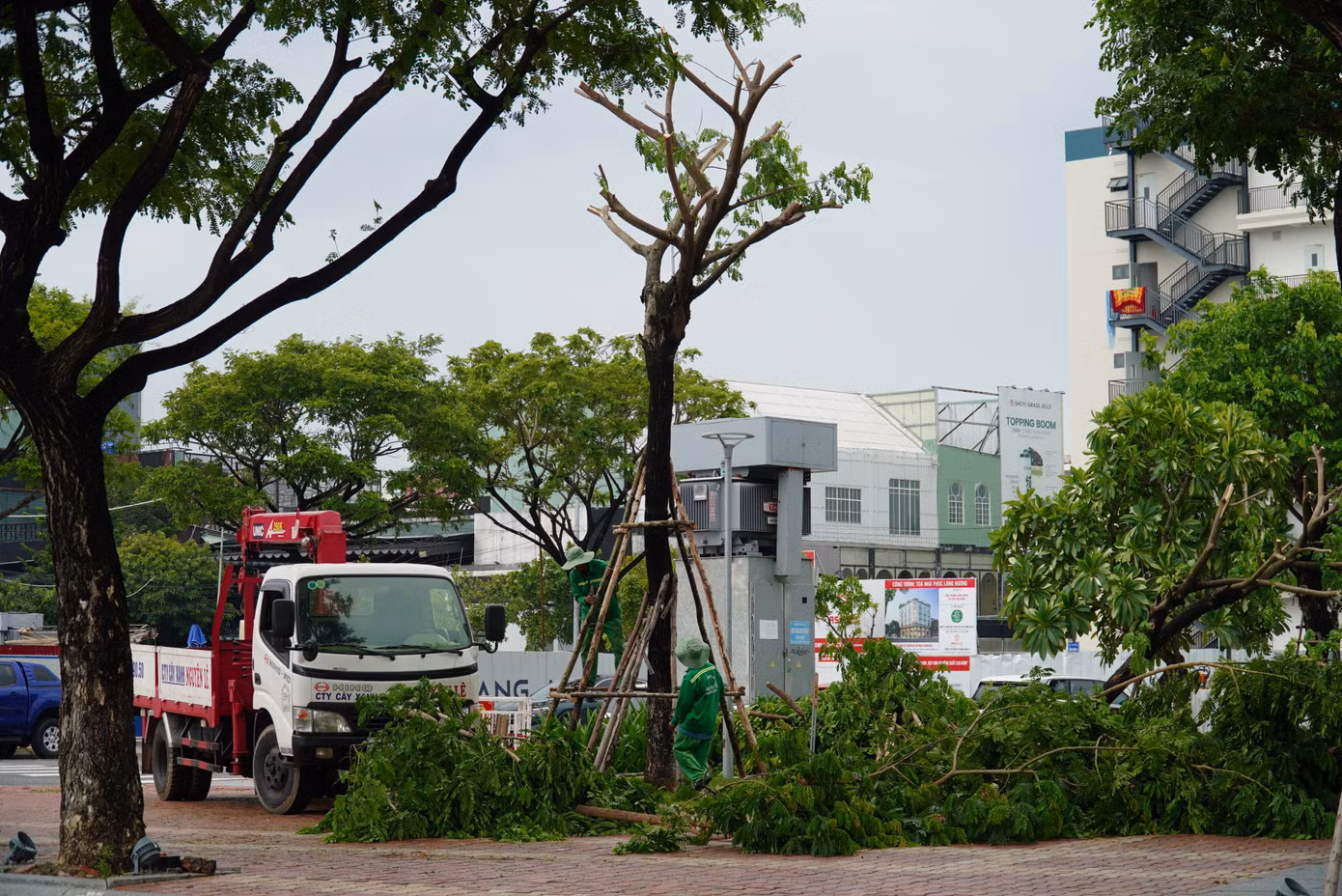 Bên dưới gốc cây nghiêng sẽ được chống đỡ cẩn thận. Công nhân tận dụng các nhánh cây bị gãy, cắt lại làm trụ chống. Theo ghi nhận, các tuyến đường ven sông, khu trống nhà cửa có rất nhiều cây bị nghiêng.