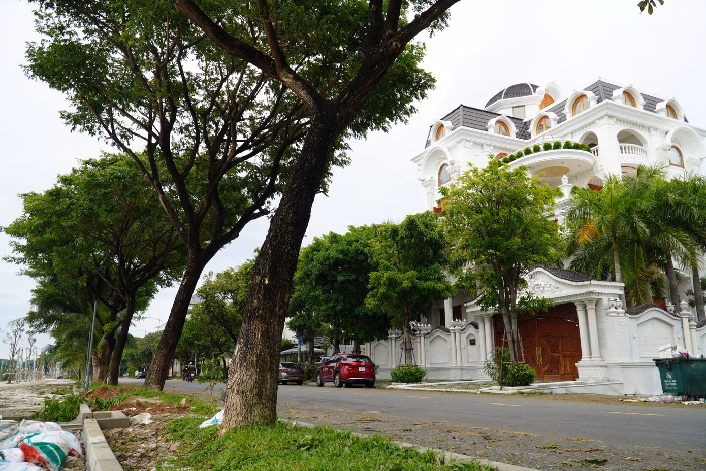Ngoài ra, hàng loạt cây bị nghiêng có khả năng đổ gây nguy hiểm cho người và phương tiện trên các tuyến đường.