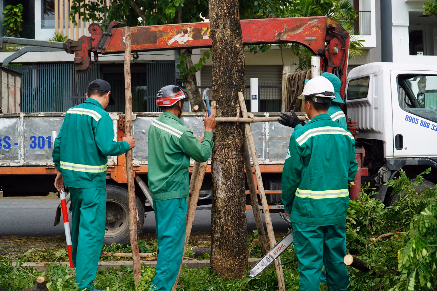 Công nhân chống đỡ cho cây xanh trên tuyến đường Thăng Long. Đây là tuyến đường ven sông có hàng loạt cây ngã đổ, nghiêng trong bão Trà Mi.