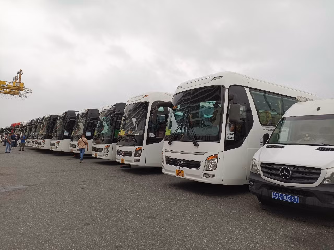 Do số lượng khách quá đông, các đơn vị lữ hành đã bố trí 54 xe loại 45 chỗ ngồi tới cảng để đón đoàn.