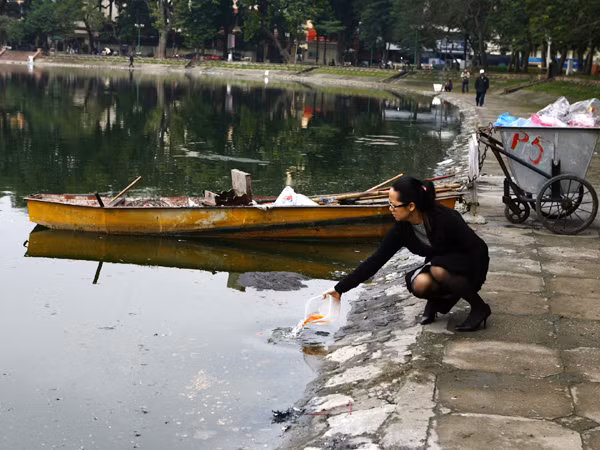 Thả cá chép