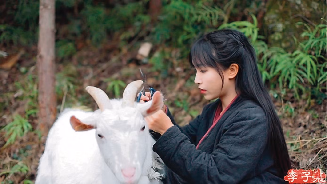 Lý Tử Thất nổi tiếng với những video nấu ăn, cuộc sống thôn quê.