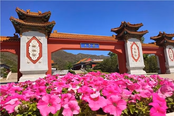 Nơi yên nghỉ của Châu Hải My tại nghĩa trang ở Bắc Kinh (Trung Quốc). Ảnh: Sohu.