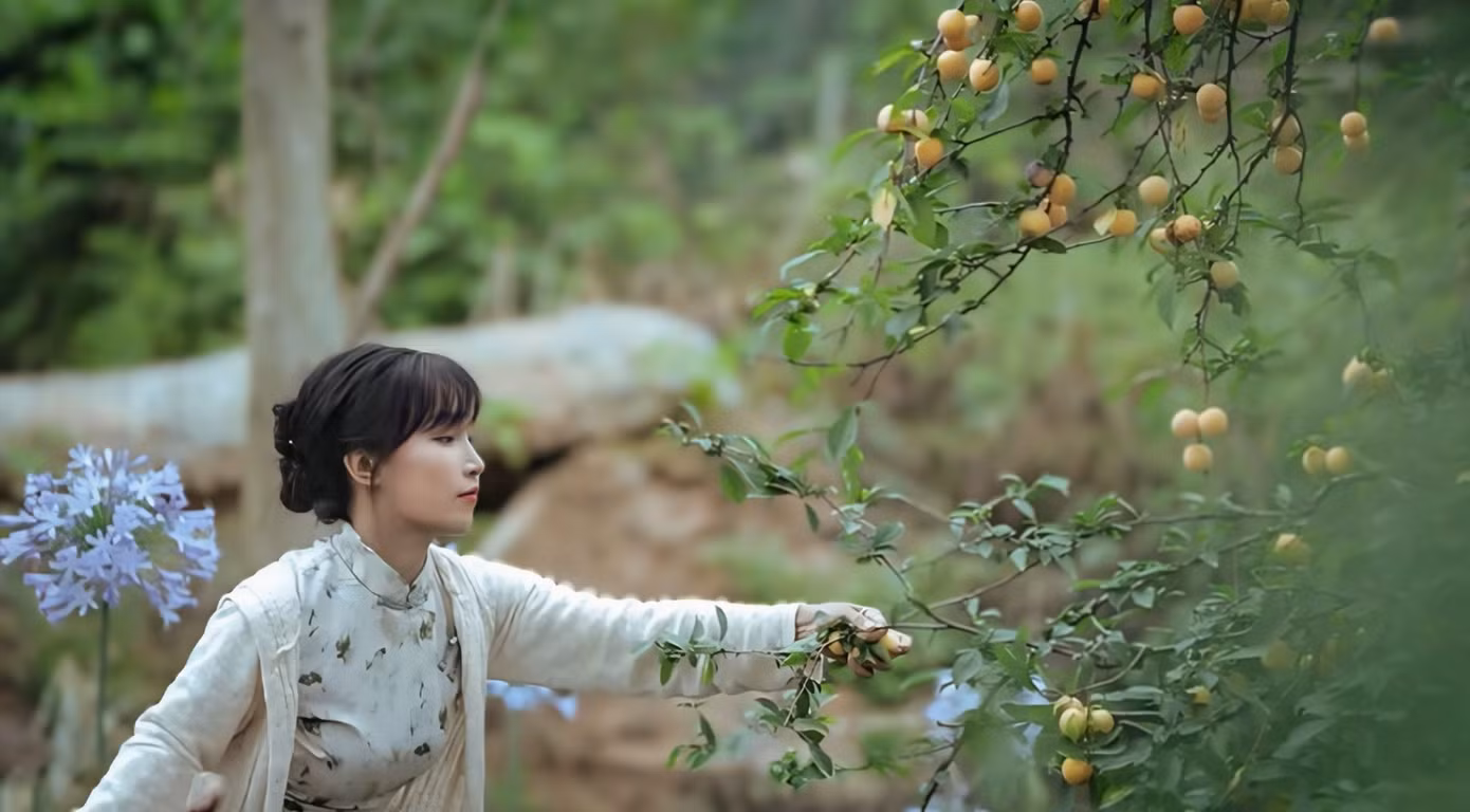 Video của Lý Tử Thất miêu tả đầy chất thơ về cuộc sống nông thôn.