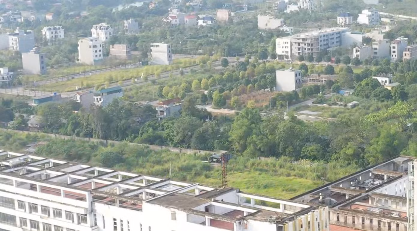 Khu đất được phân lô cho cán bộ, bác sỹ Bệnh viện Bạch Mai. Ảnh: N.L