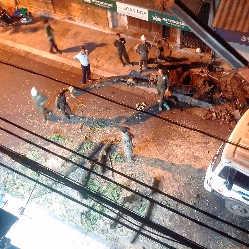 Vụ cây sưa bị chặt hạ: Người dân lo cho số phận cây sưa lớn còn lại ảnh 2