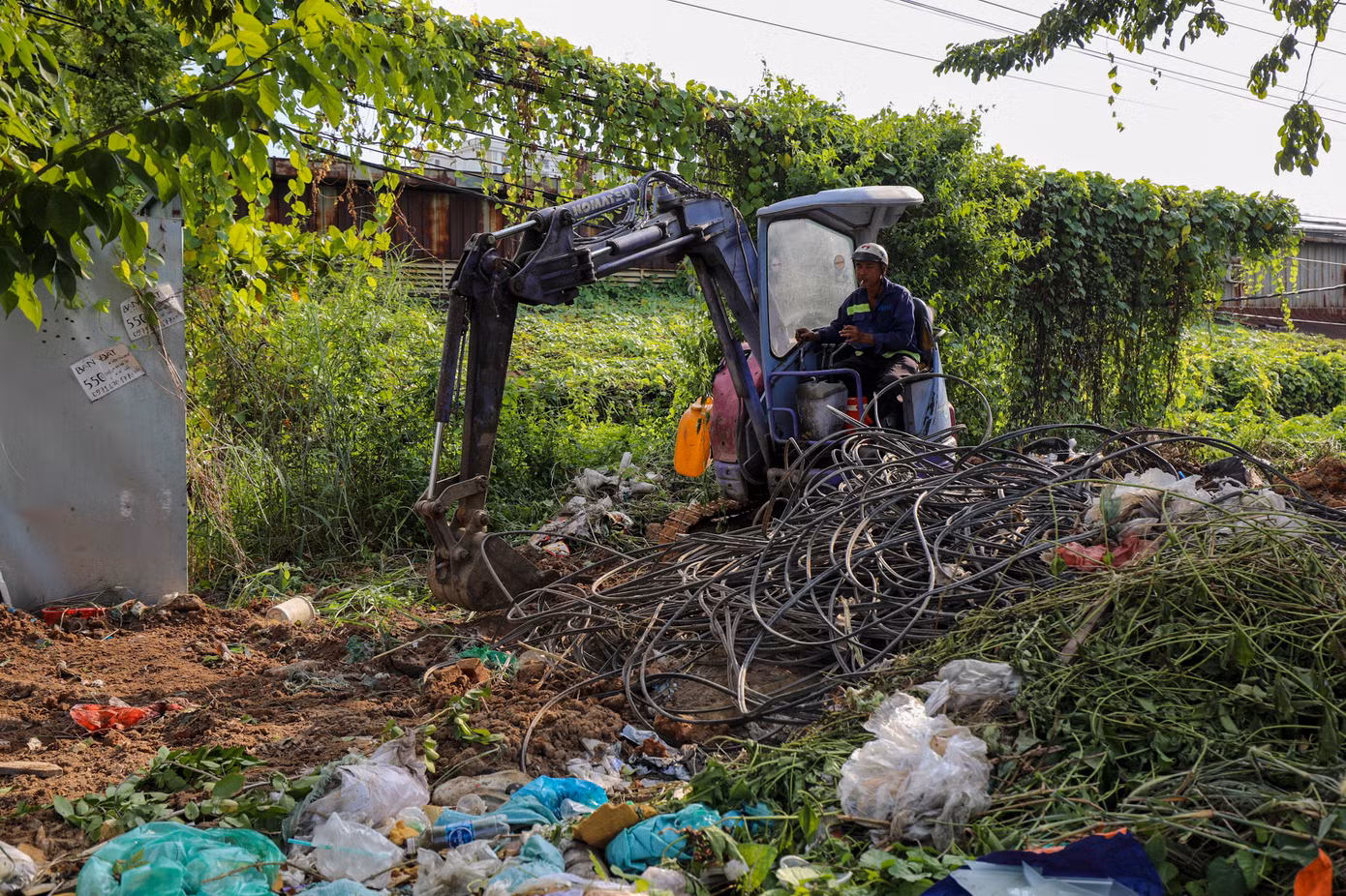 Nhiều đoạn thi công cỏ mọc um tùm.