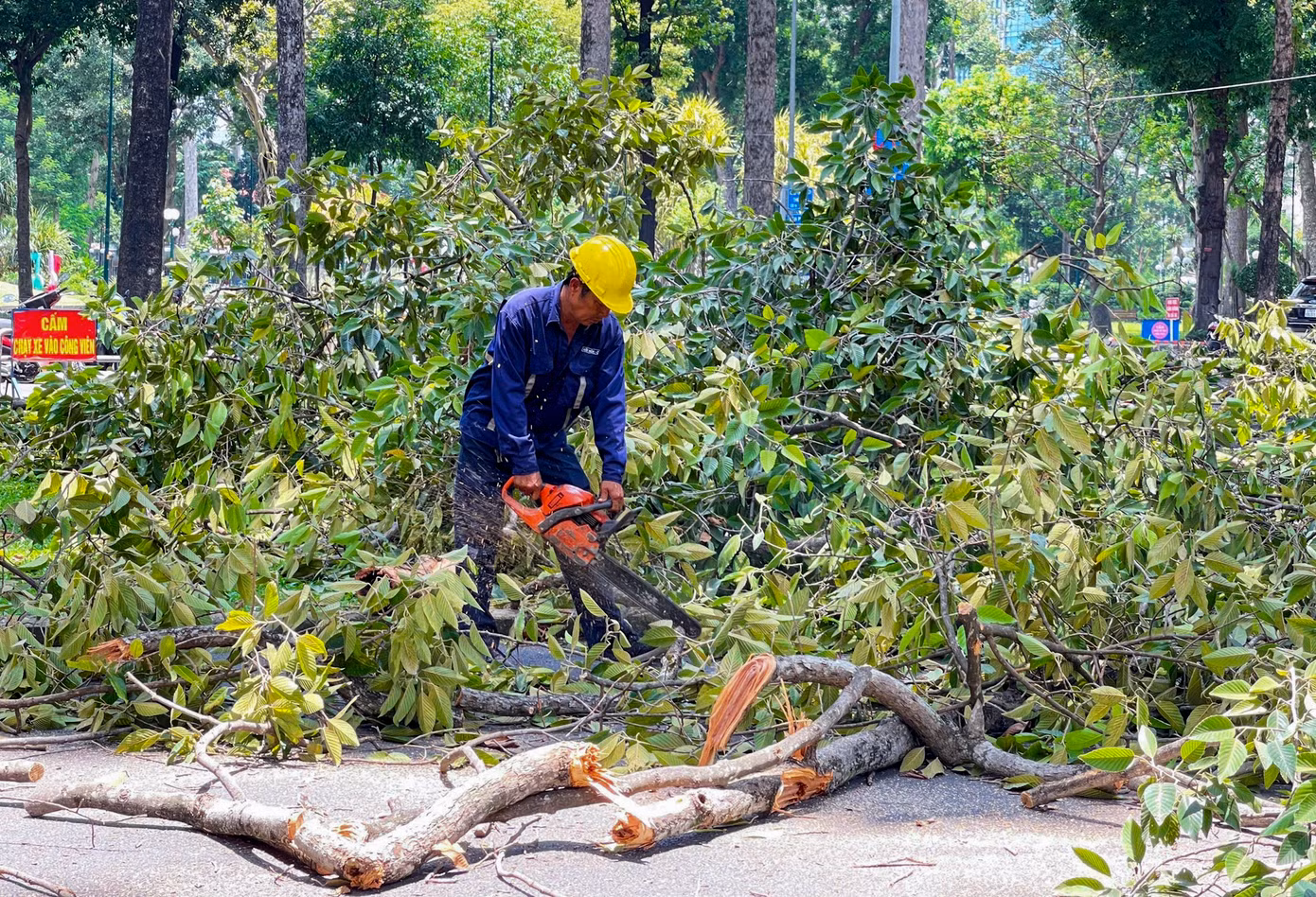 Các khu vực công viên và các tuyến đường lớn như Nguyễn Bỉnh Khiêm, Trương Định, Nguyễn Tri Phương,.. đều được kiểm tra kỹ lưỡng.