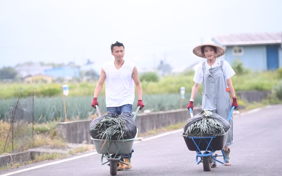 Thư Kỳ - Tạ Đình Phong xắn tay áo… làm nông dân ảnh 3