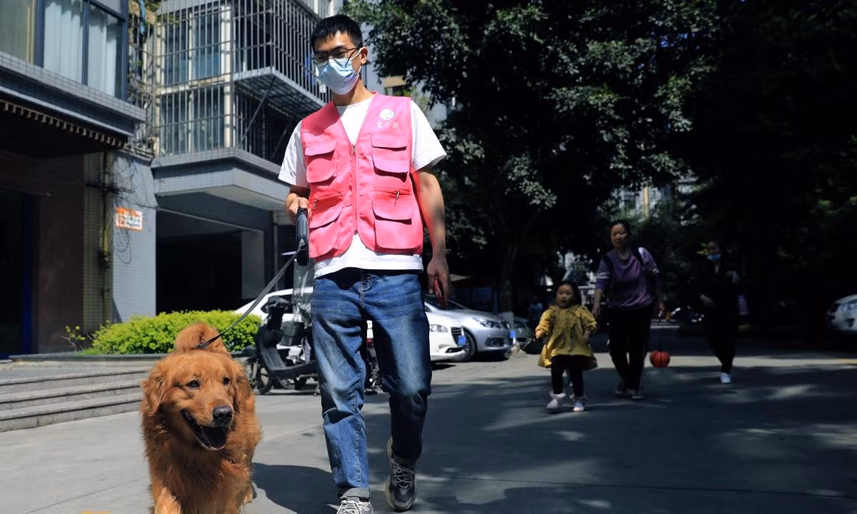 Hình ảnh một chàng trai dắt chó đi dạo thuê tại Thành Đô, Tứ Xuyên (Trung Quốc) hôm 17/3/2022. Ảnh:VCG