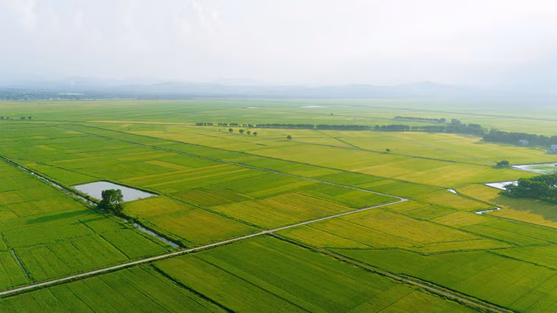 Cán bộ luân chuyển về huyện phải tiếp ở lại làm lãnh đạo chủ chốt cấp xã sau sáp nhập.