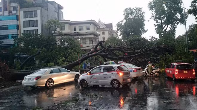 Hà Nội ngổn ngang sau dông lốc lớn ảnh 1